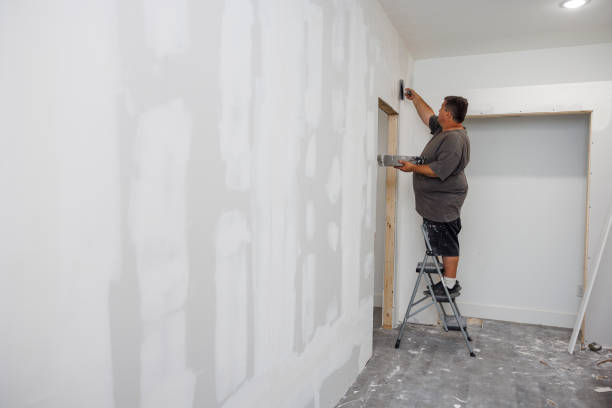 Best Faux Finishing and Decorative Painting  in Nes, IL