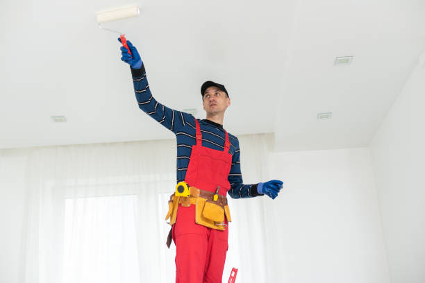 Best Drywall Sanding and Smoothing  in Nes, IL